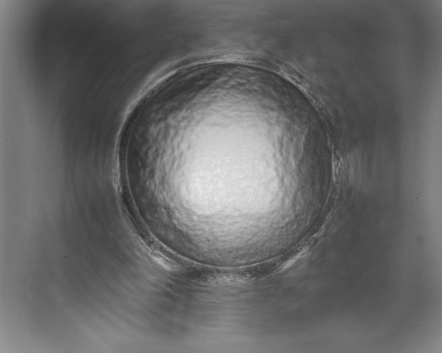 X0000074930198200609221648