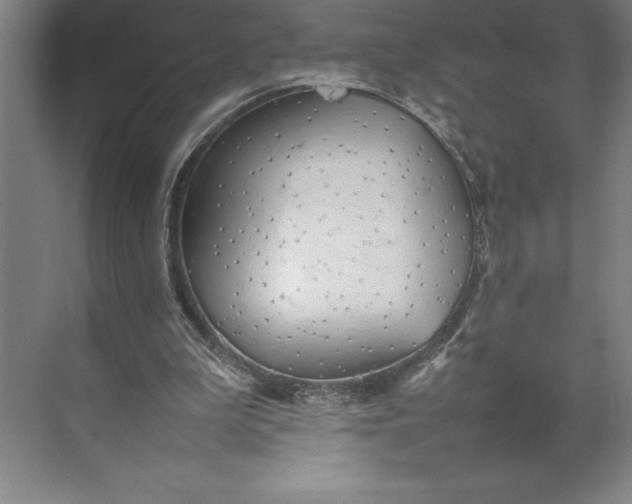 X0000074930199200609221648