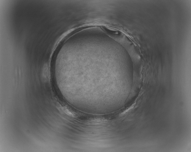 X0000074930200200609221648