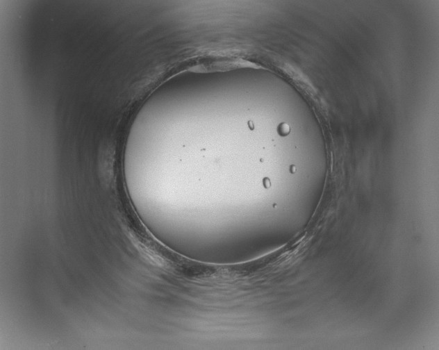 X0000074930201200609221648