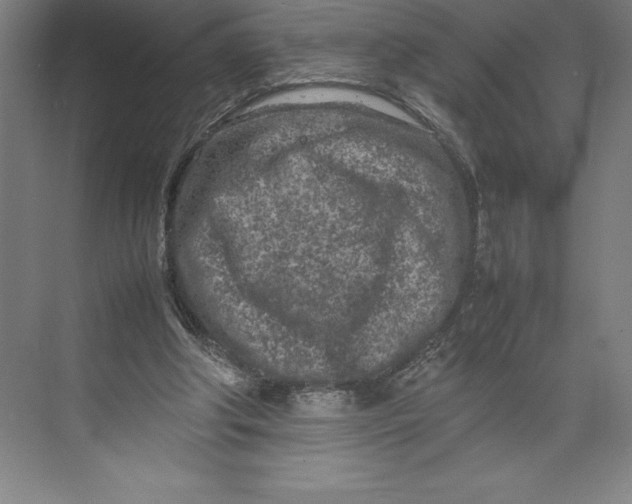 X0000074930202200609221648