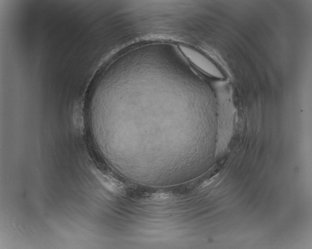 X0000074930204200609221647