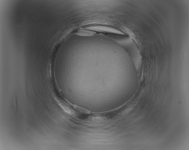 X0000074930205200609221647