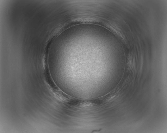 X0000074930206200609221647