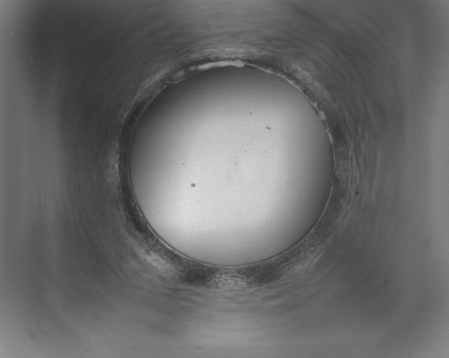 X0000074930207200609221647