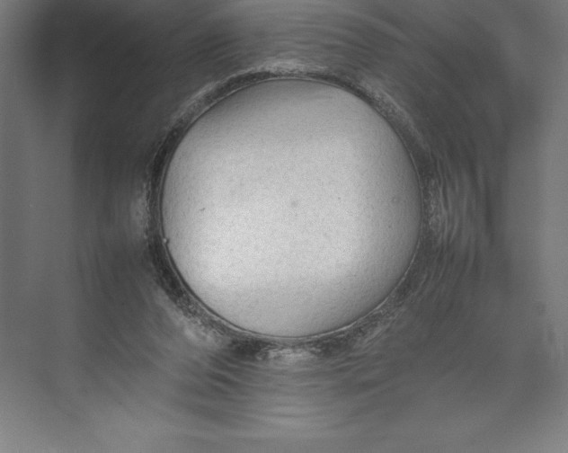 X0000074930208200609221647