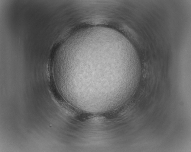 X0000074930210200609221647