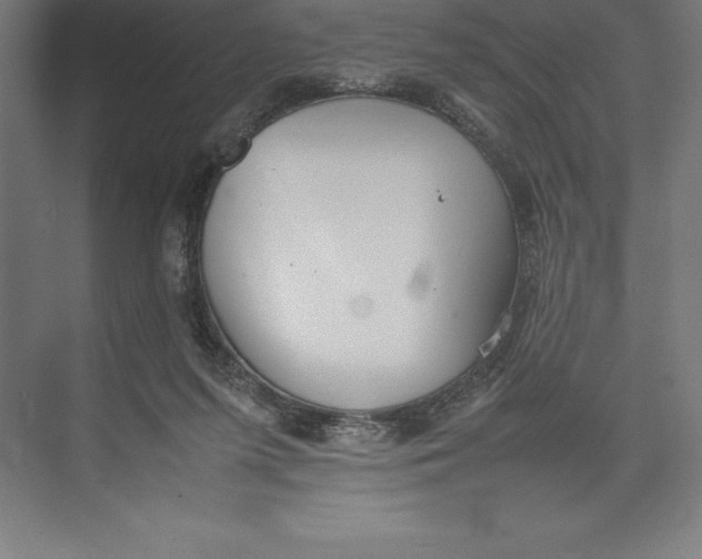 X0000074930215200609221647