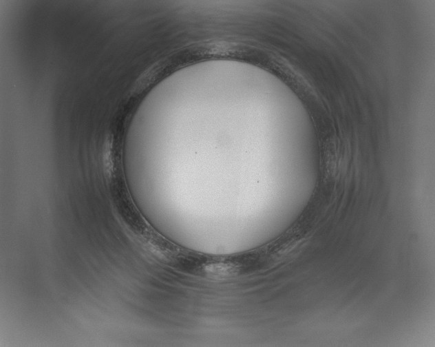 X0000074930216200609221647