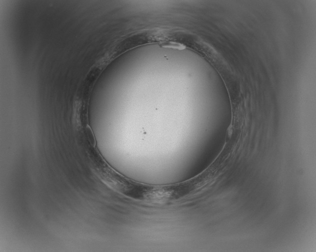 X0000074930217200609221647