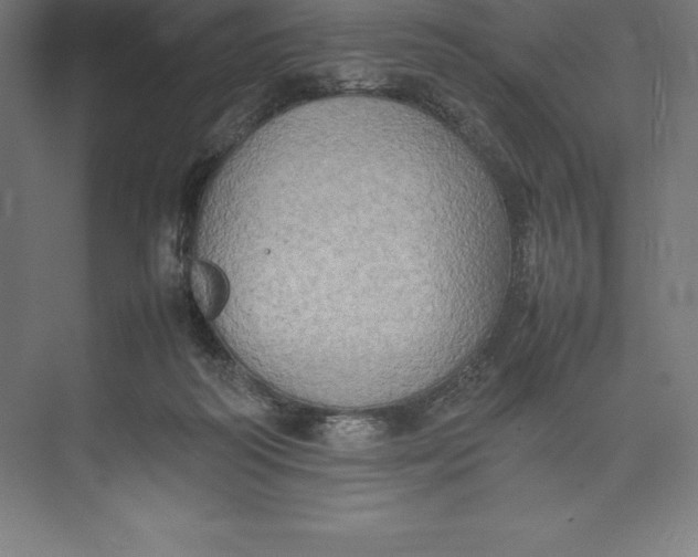 X0000074930218200609221647