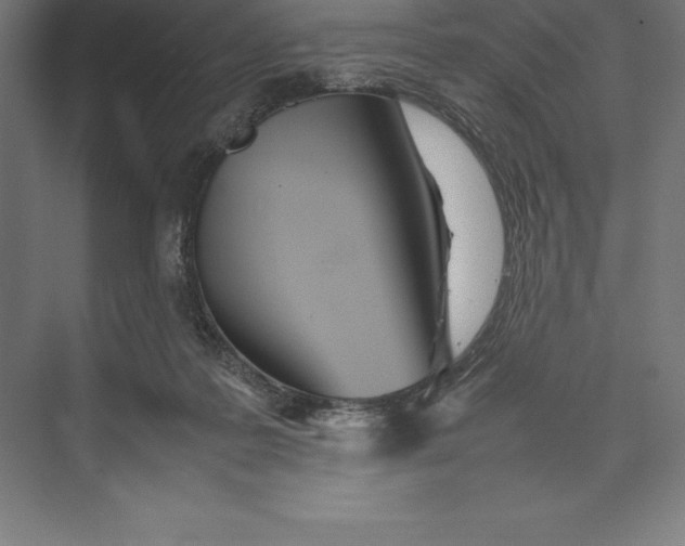 X0000074930219200609221647