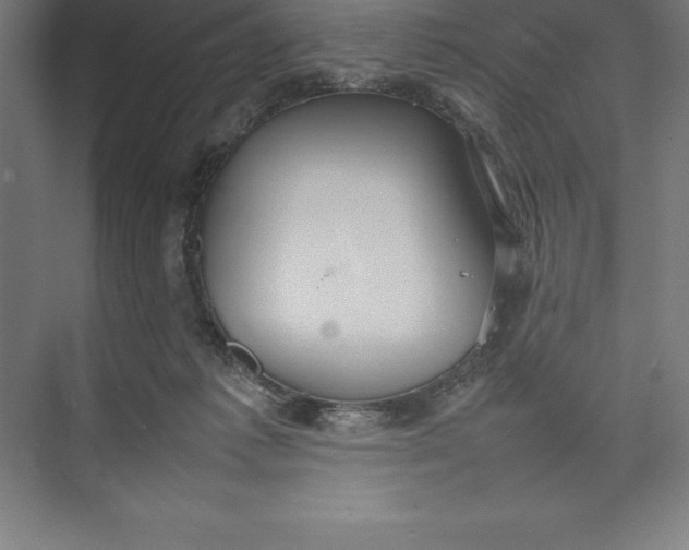 X0000074930221200609221647