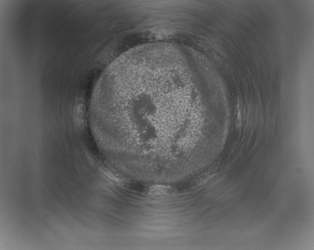 X0000074930222200609221647