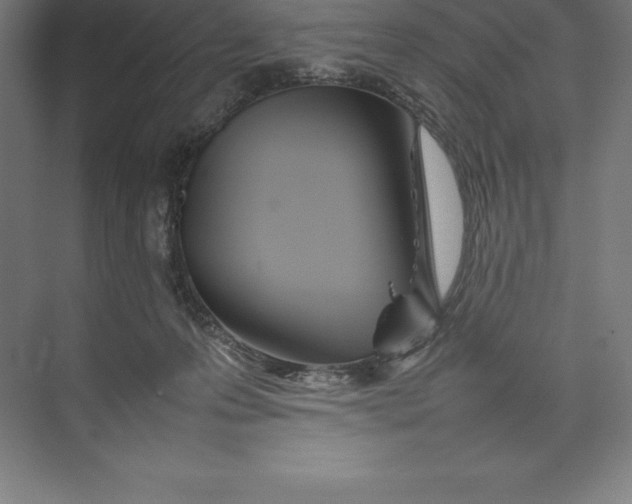 X0000074930223200609221647