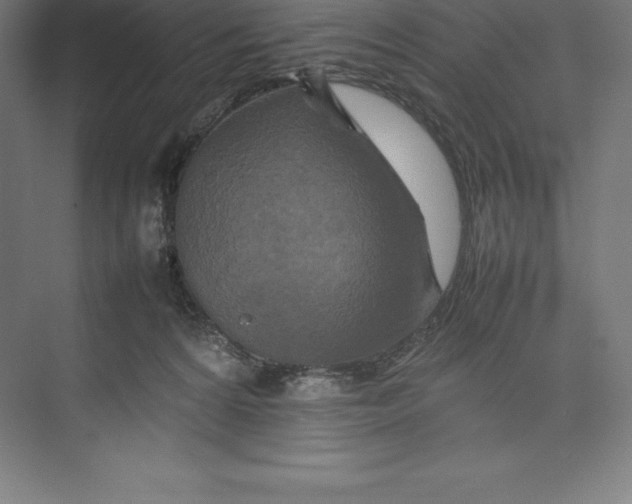 X0000074930224200609221647