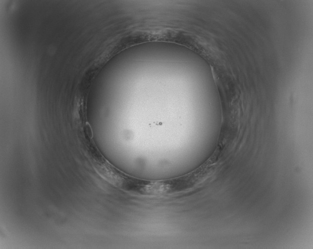 X0000074930225200609221647