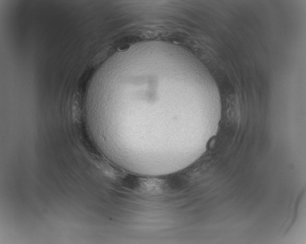 X0000074930226200609221647