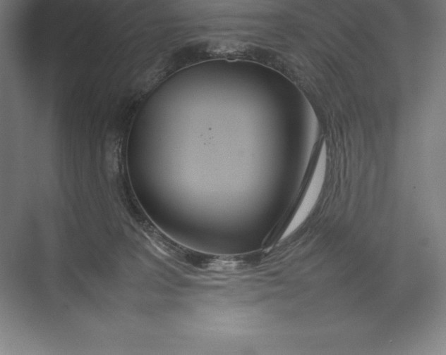 X0000074930227200609221647