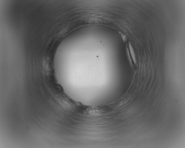 X0000074930228200609221647