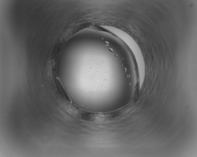 X0000074930229200609221647