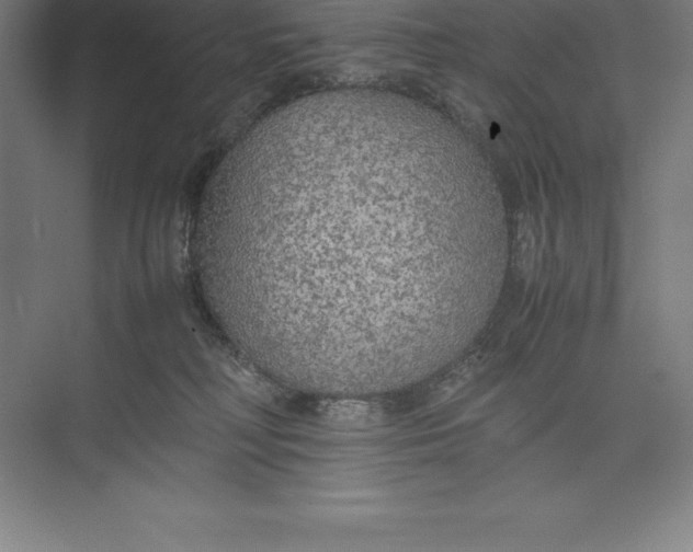 X0000074930230200609221647