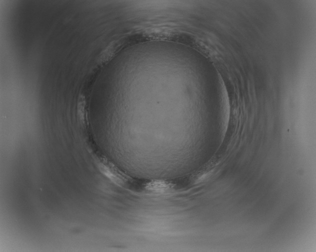 X0000074930231200609221647