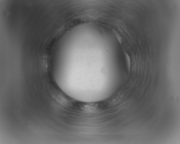 X0000074930232200609221647