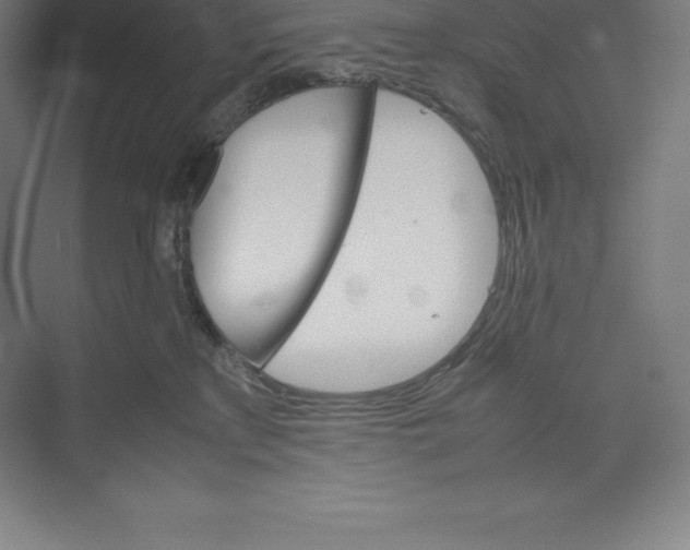 X0000074930233200609221647