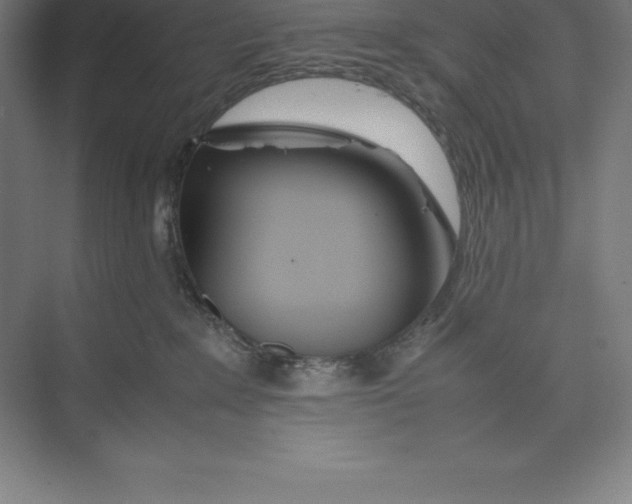 X0000074930235200609221647