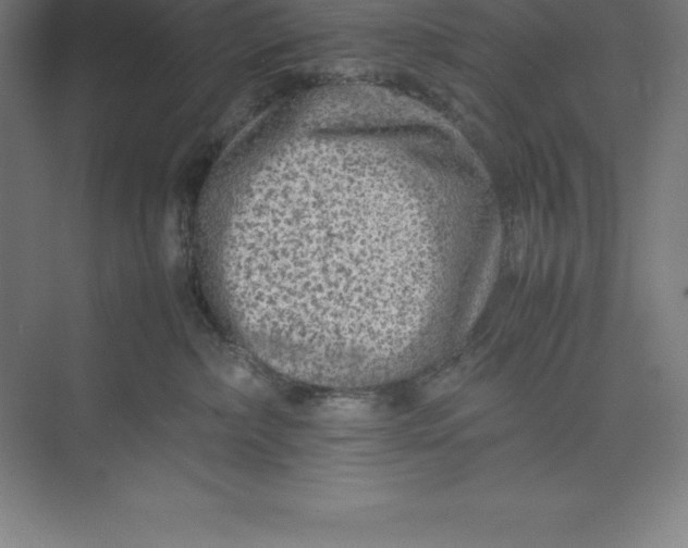 X0000074930236200609221647