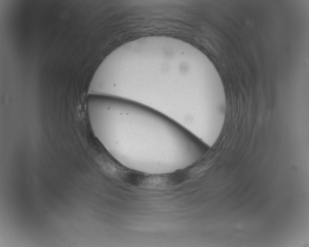 X0000074930237200609221647