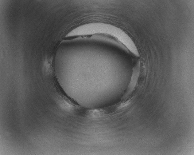 X0000074930239200609221647