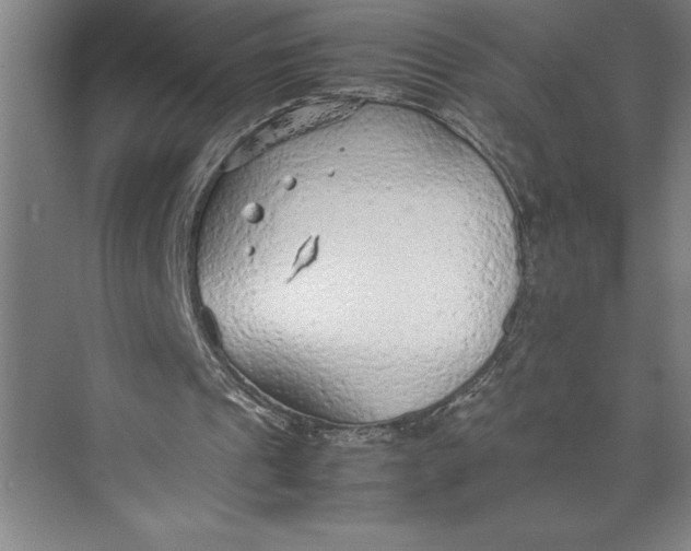 X0000074930241200609221646