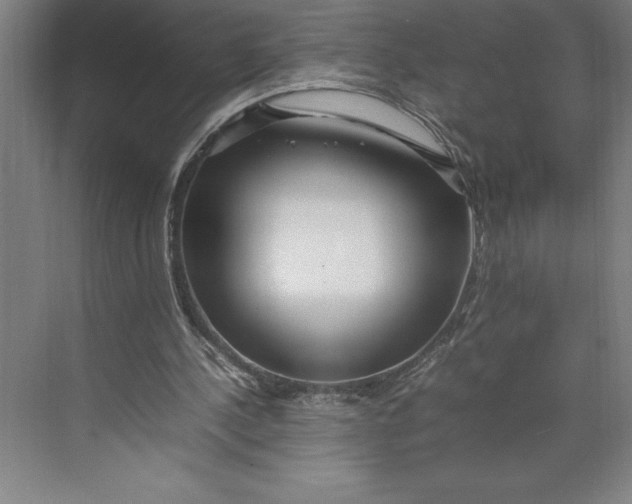 X0000074930244200609221646