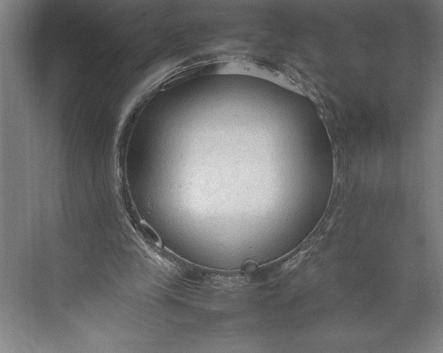 X0000074930245200609221646