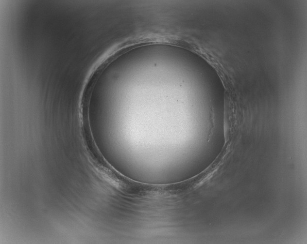 X0000074930246200609221646