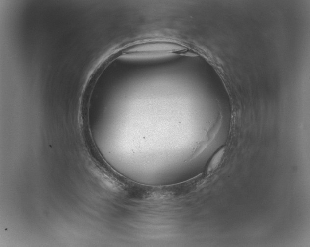 X0000074930248200609221646