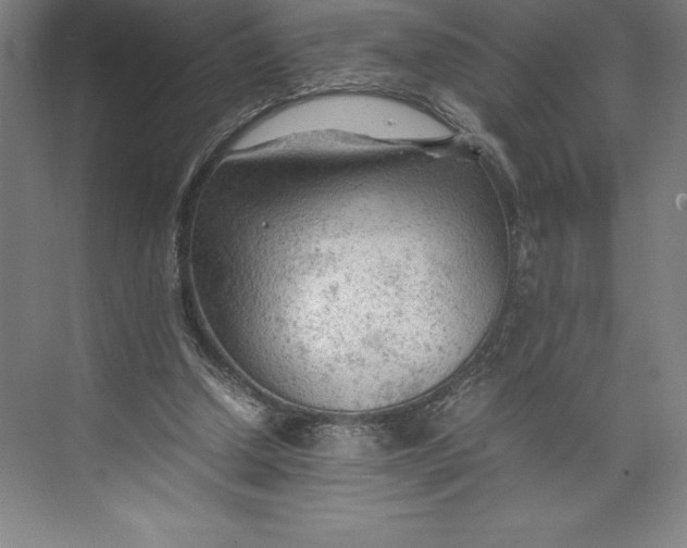 X0000074930250200609221646