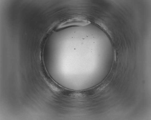 X0000074930253200609221646