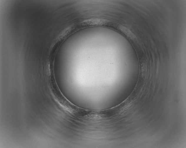 X0000074930254200609221646