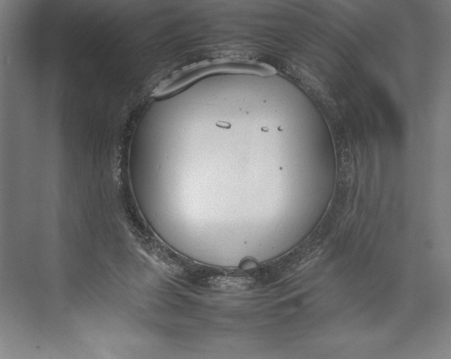 X0000074930255200609221646