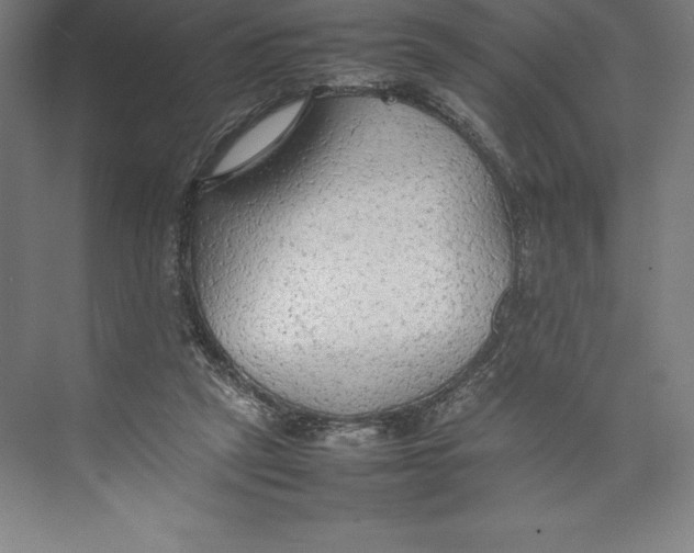 X0000074930257200609221646