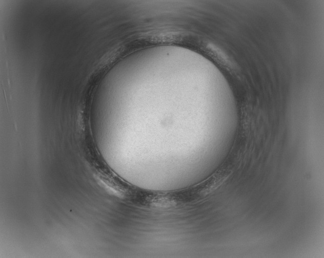 X0000074930258200609221646