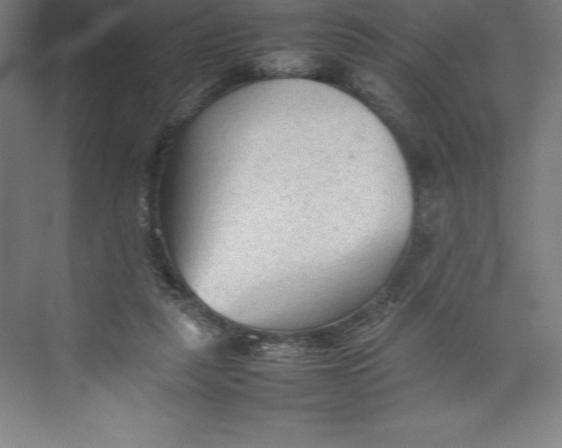 X0000074930259200609221646