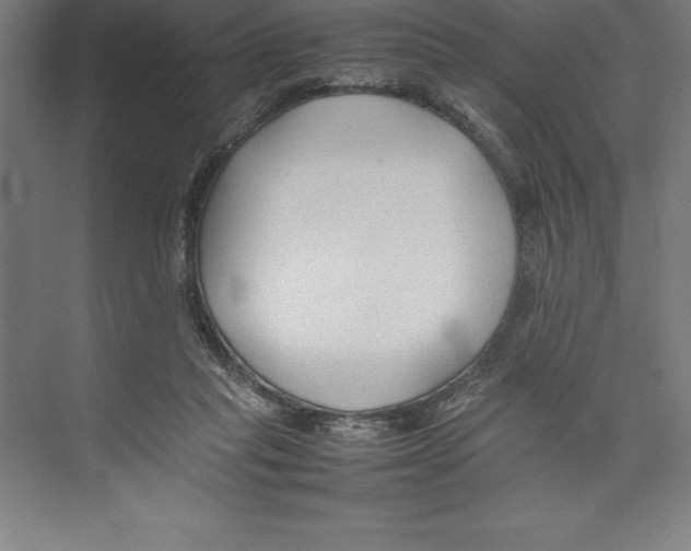 X0000074930261200609221646