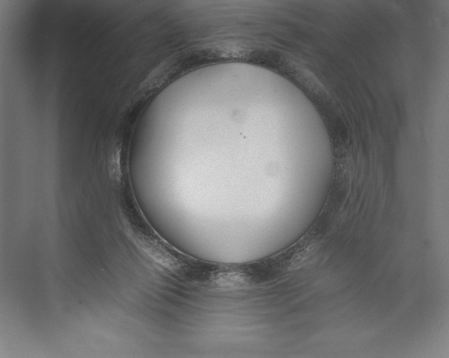 X0000074930262200609221646