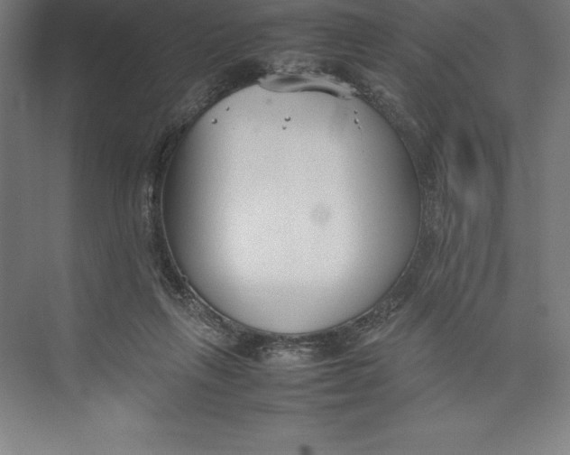 X0000074930263200609221646