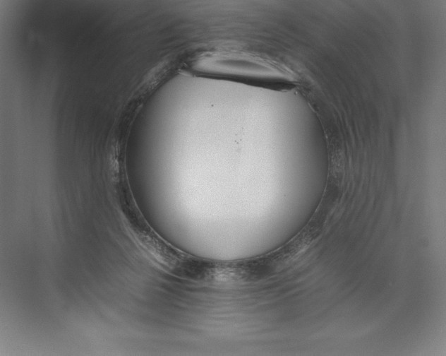 X0000074930264200609221646