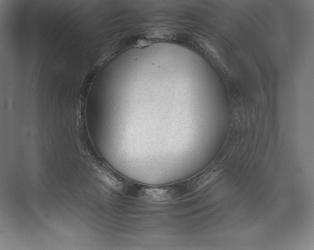 X0000074930265200609221646